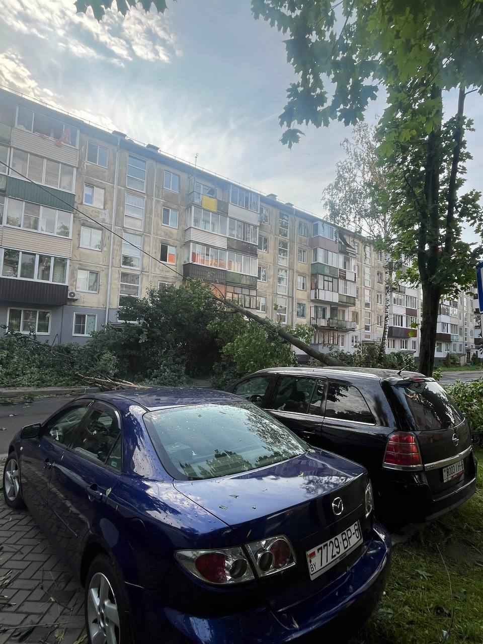 В Могилёве развернули штаб комиссии по ЧС после разрушительной ночной грозы