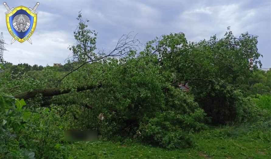 В Могилёве в результате ночного шторма погибла женщина, ещё четверо в больнице