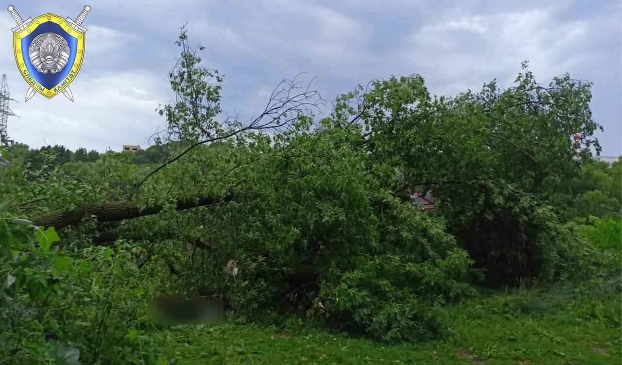 В Могилёве в результате ночного шторма погибла женщина, ещё четверо в больнице