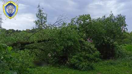 В Могилёве в результате ночного шторма погибла женщина, ещё четверо в больнице