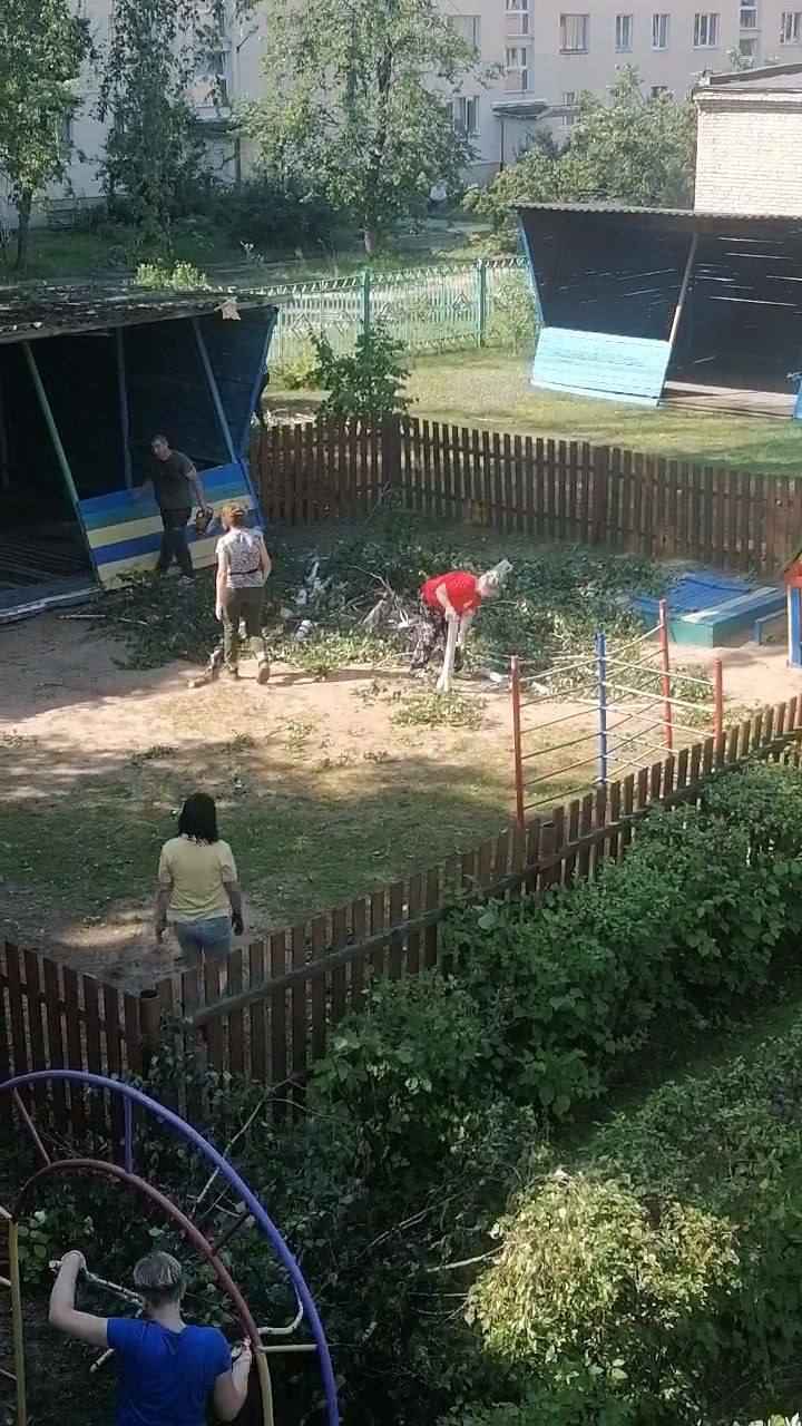 В Могилёве в результате ночного шторма погибла женщина, ещё четверо в больнице