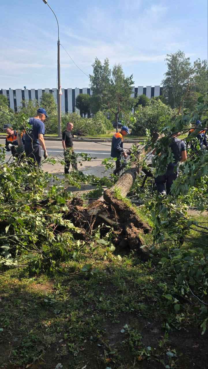 В Могилёве в результате ночного шторма погибла женщина, ещё четверо в больнице