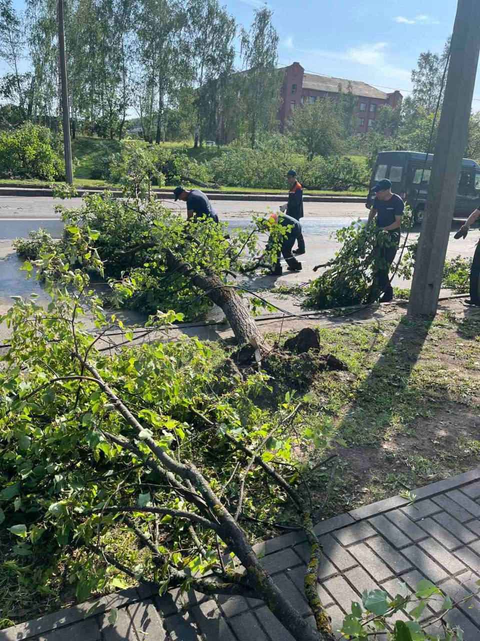 В Могилёве в результате ночного шторма погибла женщина, ещё четверо в больнице