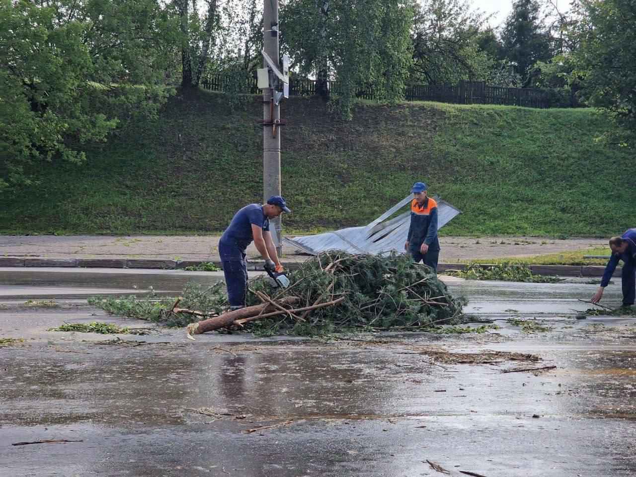 В Могилёве в результате ночного шторма погибла женщина, ещё четверо в больнице