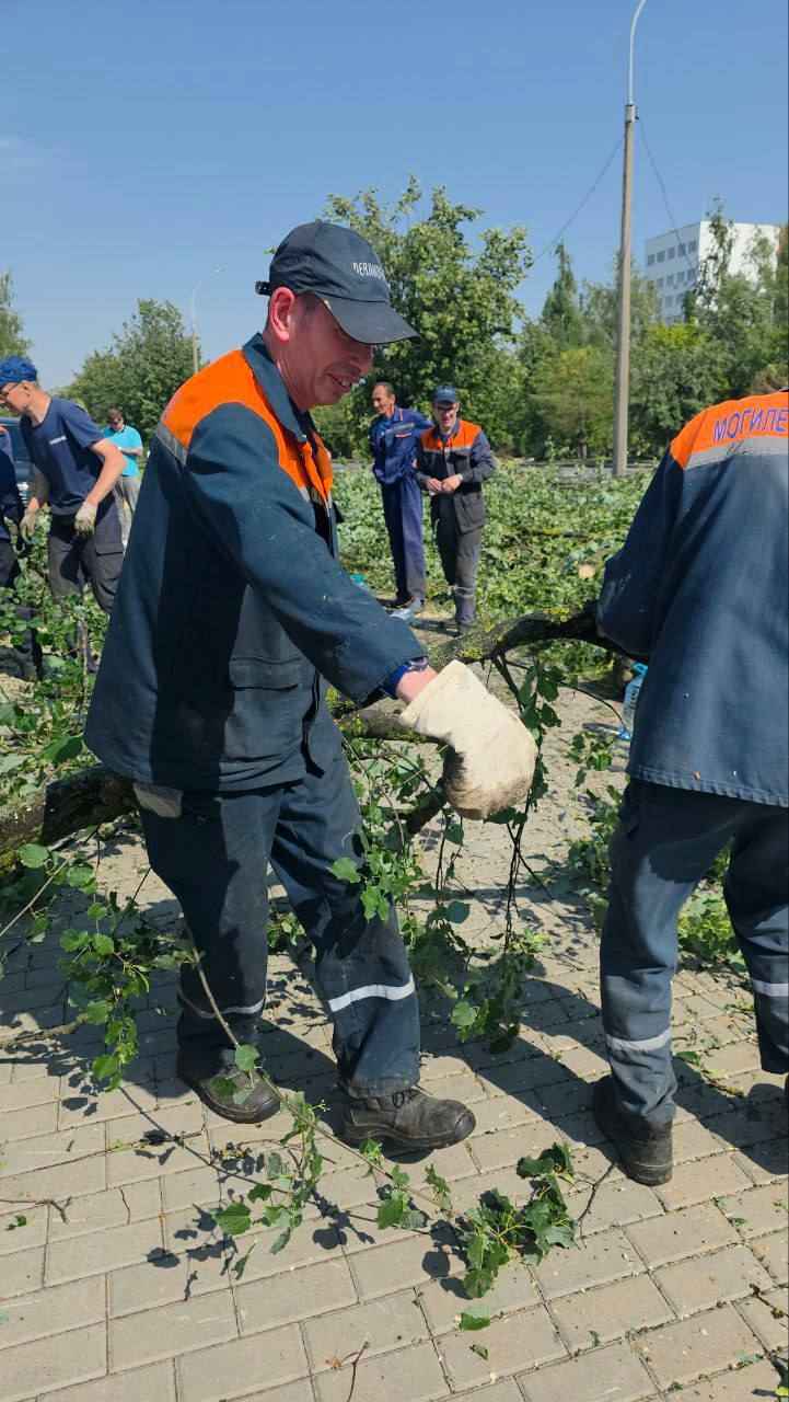 В Могилёве в результате ночного шторма погибла женщина, ещё четверо в больнице
