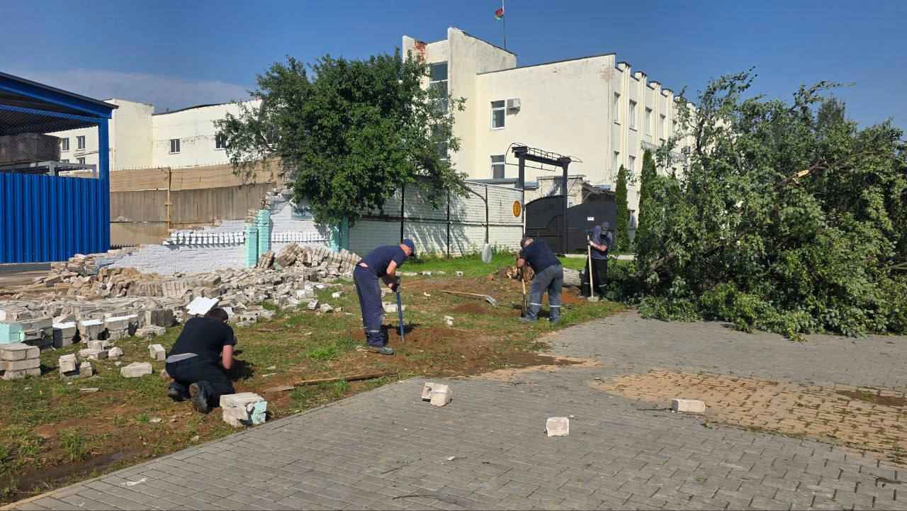 В Могилёве в результате ночного шторма погибла женщина, ещё четверо в больнице