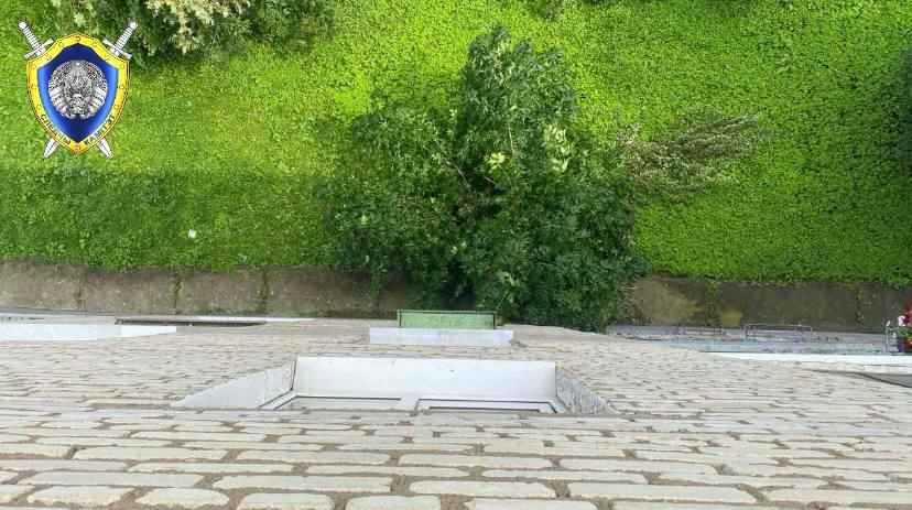 В Могилеве годовалый малыш выпал с пятого этажа – его спас куст под окном