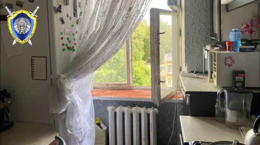 В Могилеве годовалый малыш выпал с пятого этажа – его спас куст под окном