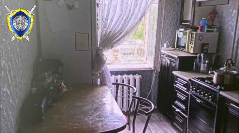 В Могилеве годовалый малыш выпал с пятого этажа – его спас куст под окном