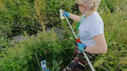 Минприроды выяснило, из-за чего массово погибла рыба в реке под Новогрудком