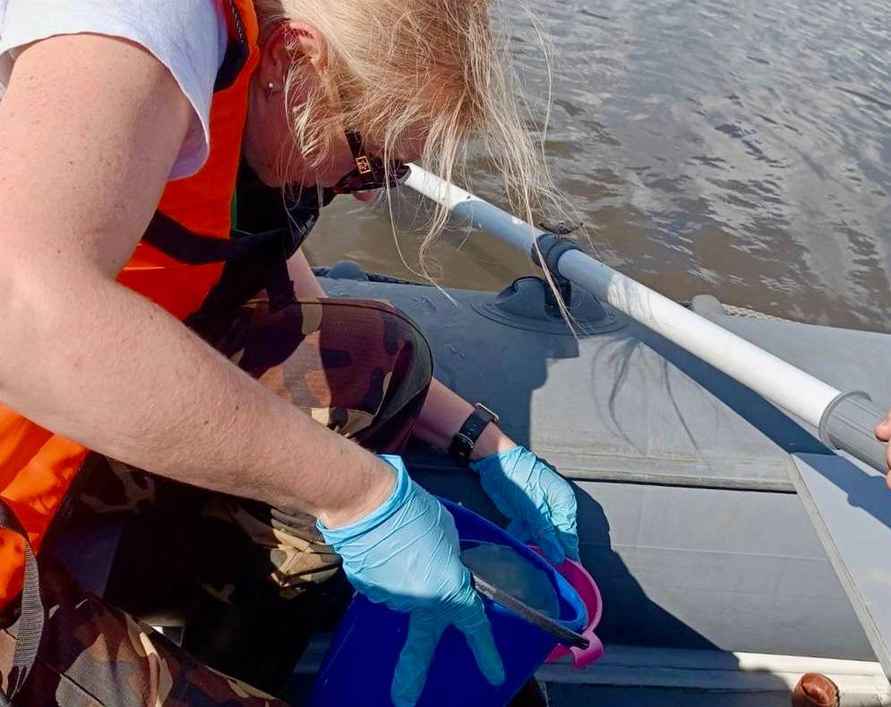 Минприроды выяснило, из-за чего массово погибла рыба в реке под Новогрудком