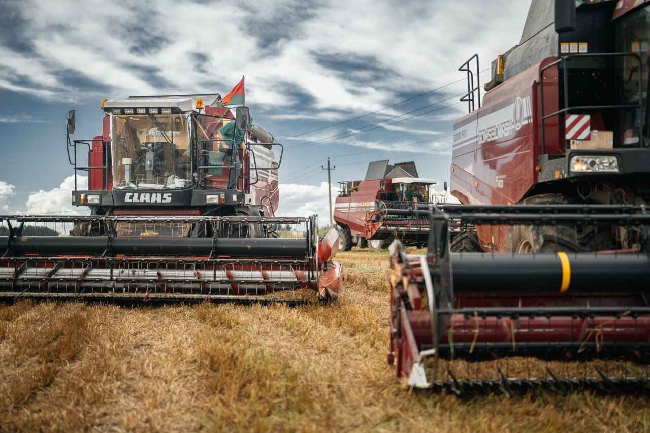 Фото: тг-канал внутренних войск МВД Беларуси