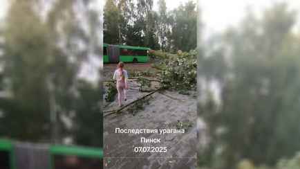 Жители Брестчины поделились видео шторма и последствий. Не все подписчики пожалели