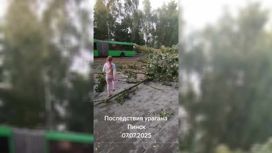 Жители Брестчины поделились видео шторма и последствий. Не все подписчики пожалели