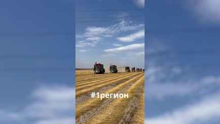 «Миньоны» вышли на теребление льна в Пружанах