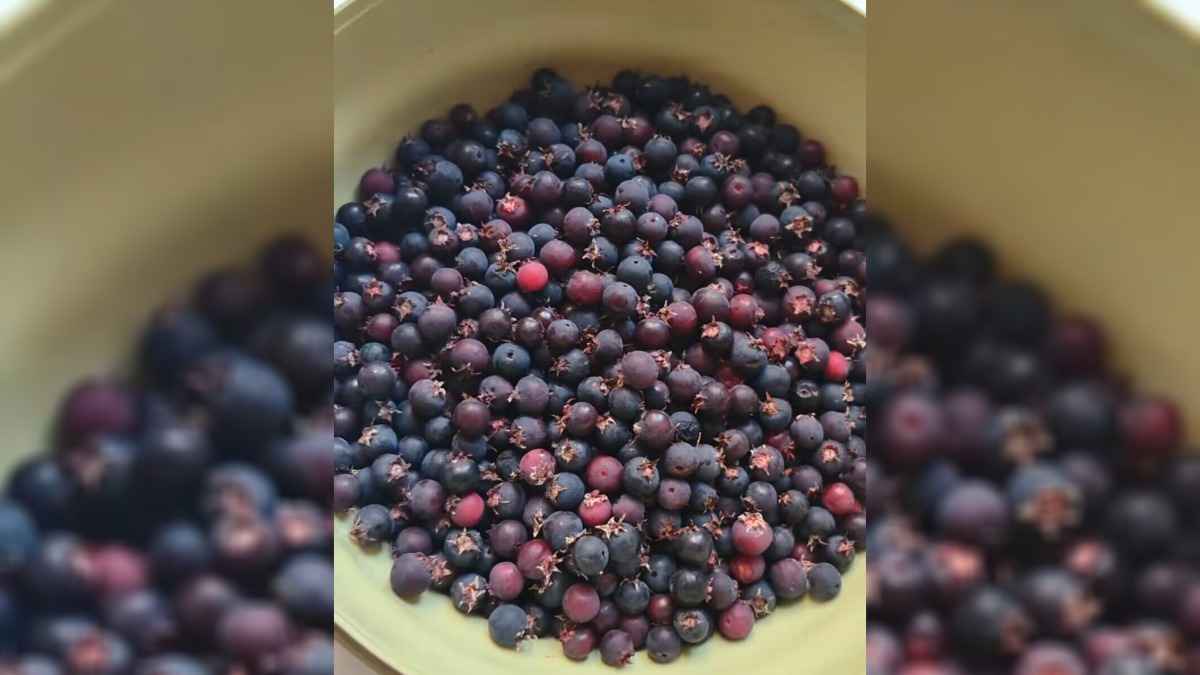 Эти знакомые с детства всем белорусам ягоды вызвали жаркие споры: "Всю жизнь они какалуша"