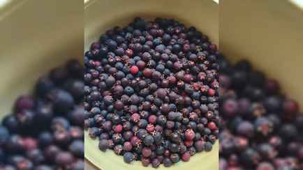 Эти знакомые с детства всем белорусам ягоды вызвали жаркие споры: «Всю жизнь они какалуша»