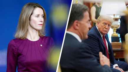 В ЕС не оценили «кувалду» Трампа для России