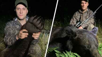 «Руки трясутся» — Житель Брестчины добыл трофейного медведя «впервые в Республике Беларусь»