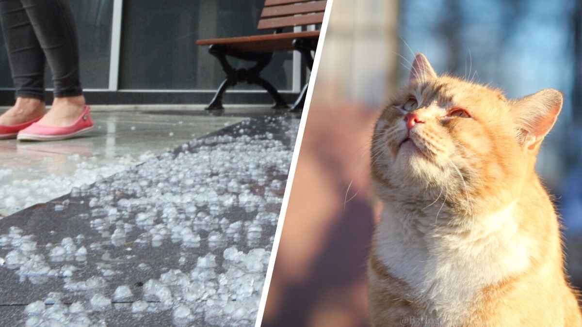 Где град, а где +30°C? Синоптики предупредили о "фронтальном разделе" над Беларусью