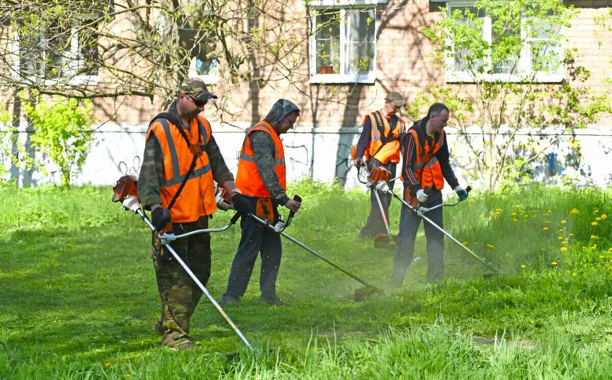 В Минтруда рассказали, кому из белорусов и почему нельзя косить траву