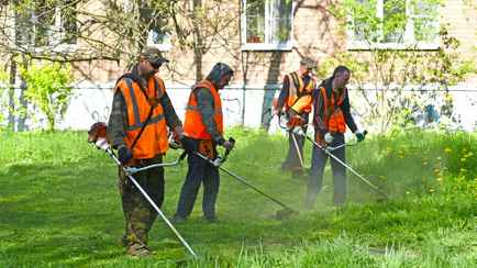 В Минтруда рассказали, кому из белорусов и почему нельзя косить траву