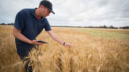 До 110 рублей в день. Минтруда позвало белорусов на летнюю подработку