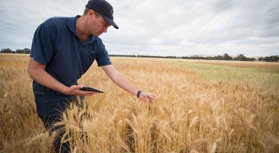 В ведомстве сообщили, что летне-осенний сезон традиционно связан