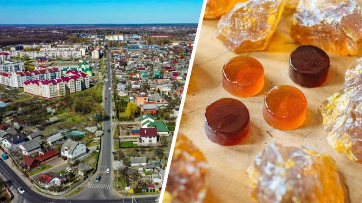 "Не поддаваться панике" - Власти Бреста ответили на слухи о выбросах на производстве канифоли