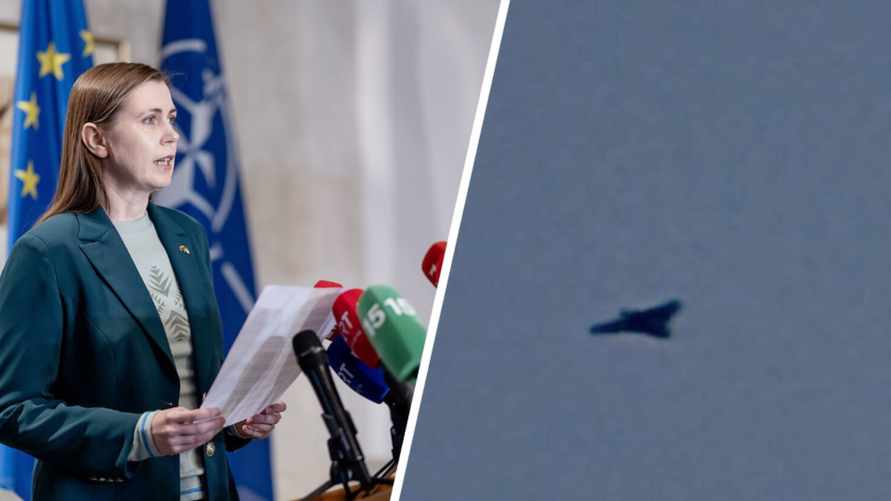 Литовские военные и спасатели устроили операцию по поиску дрона, «залетевшего со стороны Беларуси»