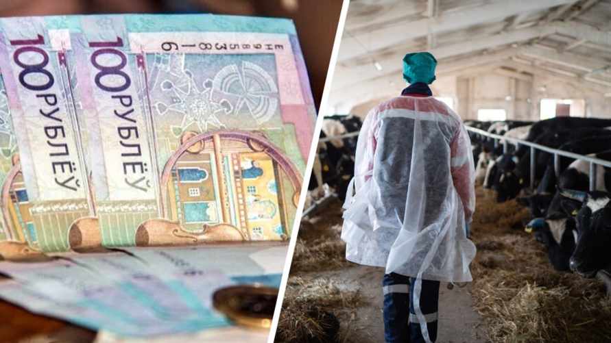 До 200% от оклада. Минсельхозпрод поднял надбавки за специфику работы некоторым аграриям