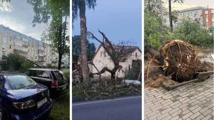 В Могилёве развернули штаб комиссии по ЧС после разрушительной ночной грозы