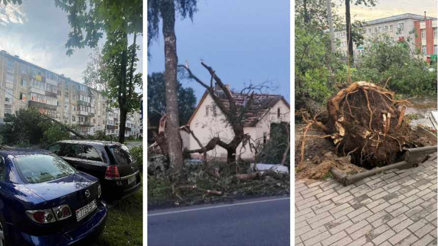 В Могилёве развернули штаб комиссии по ЧС после разрушительной ночной грозы