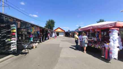 Белстат отчитался о рекордном падении числа ИП в 2024 году