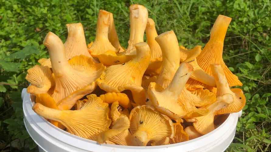 Фото Татьяны Белой