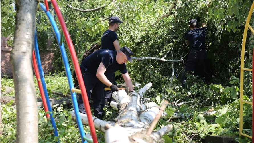 Фото: t.me/skgovby