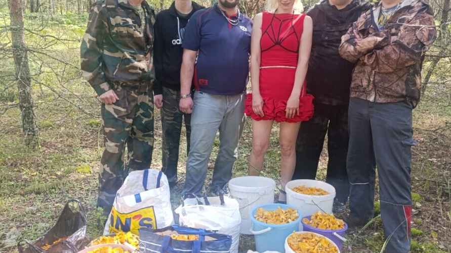 Талька. Фото Евгения Клименков