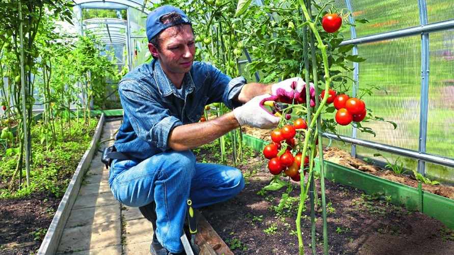 Фото иллюстрационное