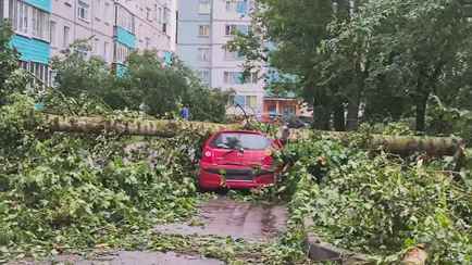 «Балконные рамы летали» – Могилевчане показали разрушительные последствия циклона Габриэля