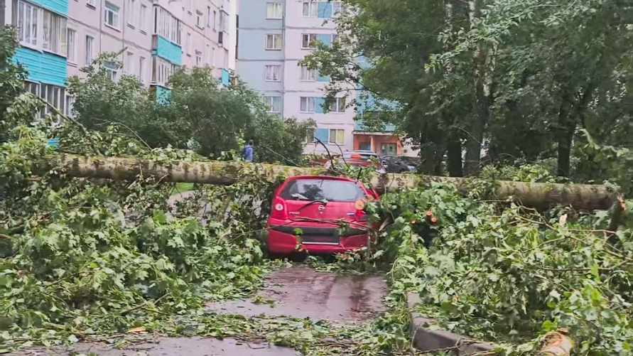 Скриншот видео