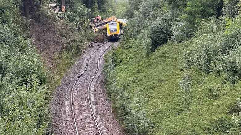 В Германии сошел с рельсов поезд - трое погибших. Виноваты ливни?