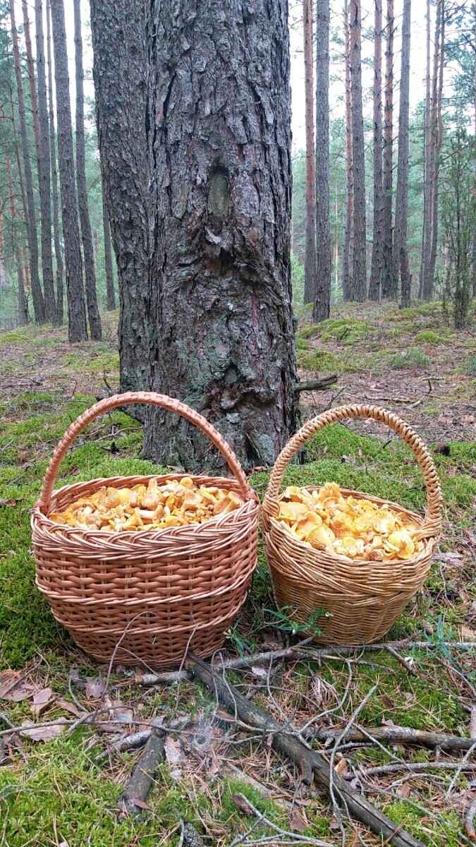 Фото Татьяны Старковой