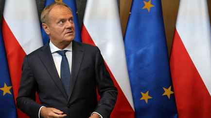 У поляков спросили, доверяют ли правительству. Сколько ответили «нет»?