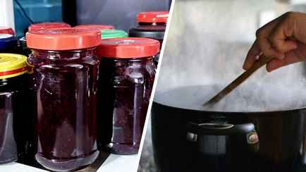 Эти плоды не зря называют «черным золотом». Сколько нужно есть белорусам в день и как закатать уже сейчас?