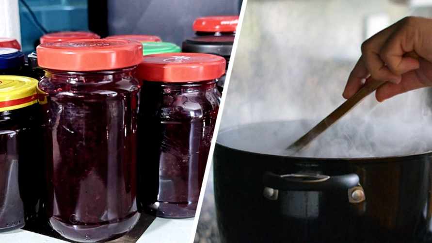 Эти плоды не зря называют "черным золотом". Сколько нужно есть белорусам в день и как закатать уже сейчас?