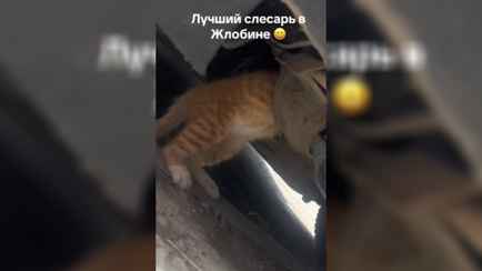 Лучший «слесарь» в Жлобине набрал сотни тысяч просмотров в TikTok: «А к нему по записи?»