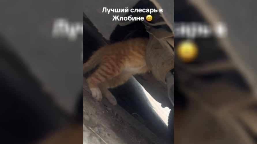 Лучший "слесарь" в Жлобине набрал сотни тысяч просмотров в TikTok: "А к нему по записи?"