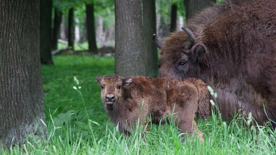 Фото иллюстрационное