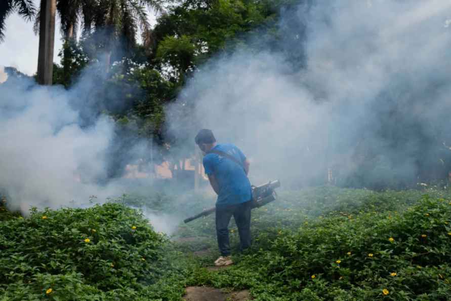 В Китае уже более 7 тыс. человек заразились новым вирусом Чикунгунья. Его переносят комары