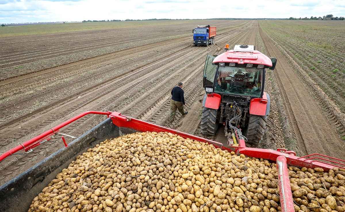 Фото иллюстрационное